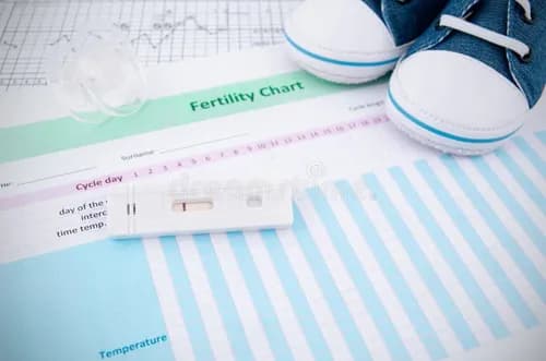 Fertility support